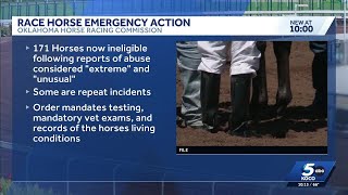 Nearly 200 racehorses banned from Oklahoma events after suspected abuse