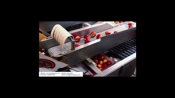 Nectarine fruit food screening and packaging machine  #fruit sorting and screening  #roller conveyor
