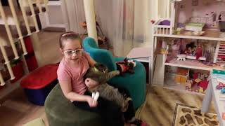 Как я лечила насморк своей кошке. Как я лечила насморк своей кошке.