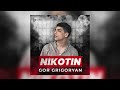 Gor grigoryan  nikotin official audio