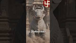 Basavaraja#nandi #Hindudbhakti#evotional #hindudeity#lordshiva#shiv#shiva#viralvedio#ytshorts#viral