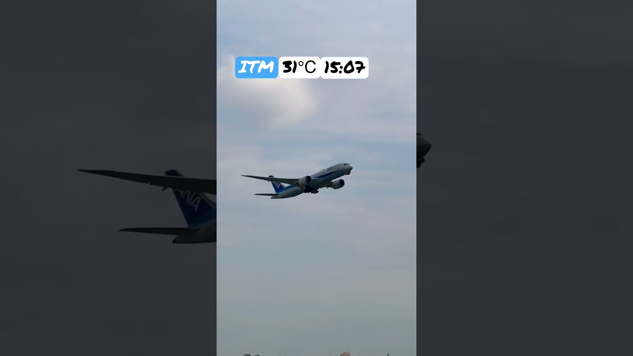 Boeing787 Dreamliner ANA Summer Takeoff Osaka International Airport #ana #boeing787 #takeoff
