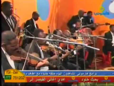 محمود عبدالعزيز ابتسامة   