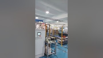 Robot palletizing system#packing #palletizing #robot #packaging #carton #warehouse
