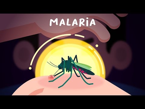 Apa itu Malaria -  Feat. Palang Merah Indonesia