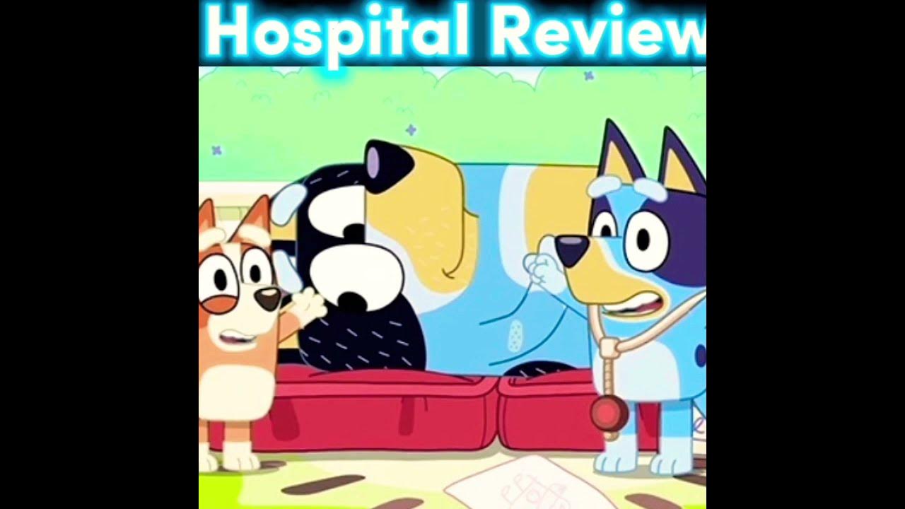 My Bluey Episode Hospital Review YouTube