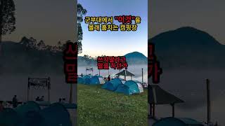 강원도 인제 군부대 근처 캠핑장에서 훔쳐간 “이것”