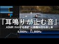 高音耳鳴り 頭鳴りを打ち消す特殊な音 ASMRせせらぎ音 2 睡眠 リラックス 集中 自然音1 Fゆらぎ 耳鳴りキーン 8 000Hz 11 000Hz 高音耳鳴り 頭鳴りを打ち消す特殊な音 ASMRせせらぎ音 2 睡眠 リラックス 集中 自然音1 Fゆらぎ 耳鳴りキーン 8 000Hz 11 000Hz