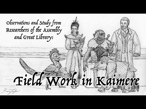 Fieldwork in Kaimere: Observations from the Assembly and Great Library