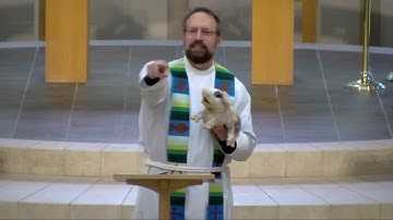 Plotinus (Tiny) the Pig - Fifth Sunday after Pentecost 2023