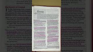 Holy Bible, New Living Translation (NLT), Genesis 1