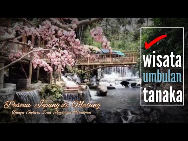 Wisata Umbulan Tanaka Pesona Jepang Di Malang Youtube