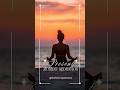 Present Moment Guided Meditation