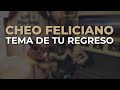 Miniature de la vidéo de la chanson Tema De Tu Regreso