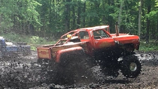 CORK RD SWAMP BOG- Extended