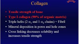 Miller's Orthopaedic Lectures: Basic Sciences 1