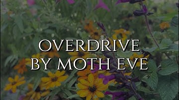 Moth Eve - OVERDRIVE (Official Lyric Video & Visualizer)