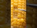 I like corn 🌽. #corn #ytshorts #yt #shorts #usa #iliketomoveitmoveit #like #loadup
