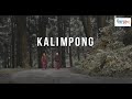 Kalimpong  land of orchids