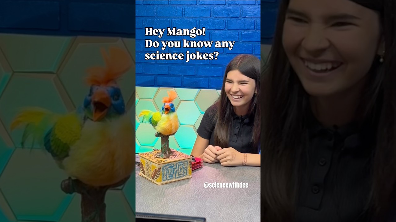 Meet the animatronic Songbird from Garner Holt that you can design, build, and program yourself!