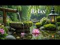 Healing Music + Bamboo Water Sounds 🌿 Insomnia Relief, Calm Anxiety & Depression, Deep Sleep