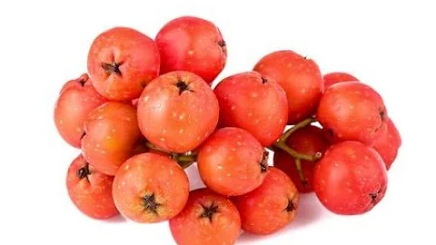 Come usare i frutti del sorbo?