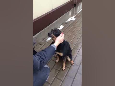 Басти - YouTube