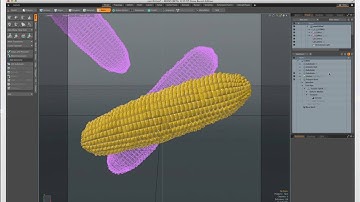 Corn on the cob ~ No Butter ~ QUICK 3D modeling  Modo 10