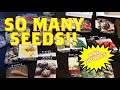 Seeds Galore - What's (potentially) in my garden 2022… with fungus!