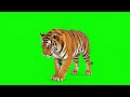 100% Free Green Screen - green screen animals | Chroma Key Effect