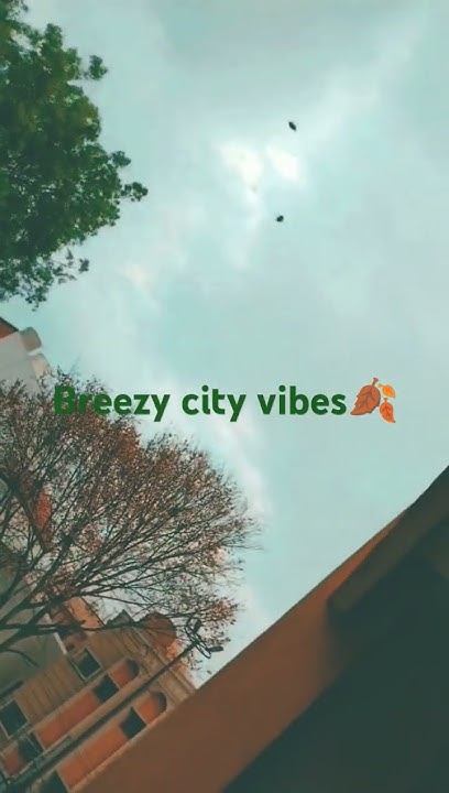 breezy-weather-peace-2024-windy-youtube-shorts-trending-viral