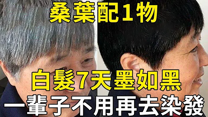 桑葉配1物，白頭發竟然沒了，7天迅速變黑，一輩子不用再去染發！ |三味書屋 - 天天要聞