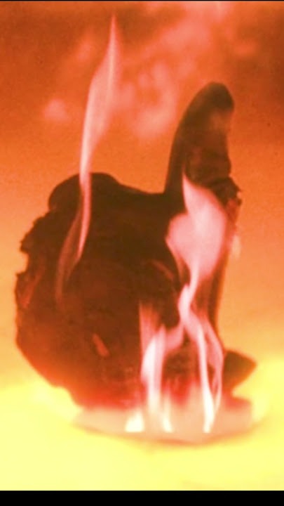 T2: Terminator's Ultimate Sacrifice | Terminator 2: Judgment Day #movie #clips