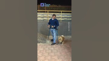 Disability Rights Activist Highlights Infrastructure In Public Places For Specially- Abled #shorts