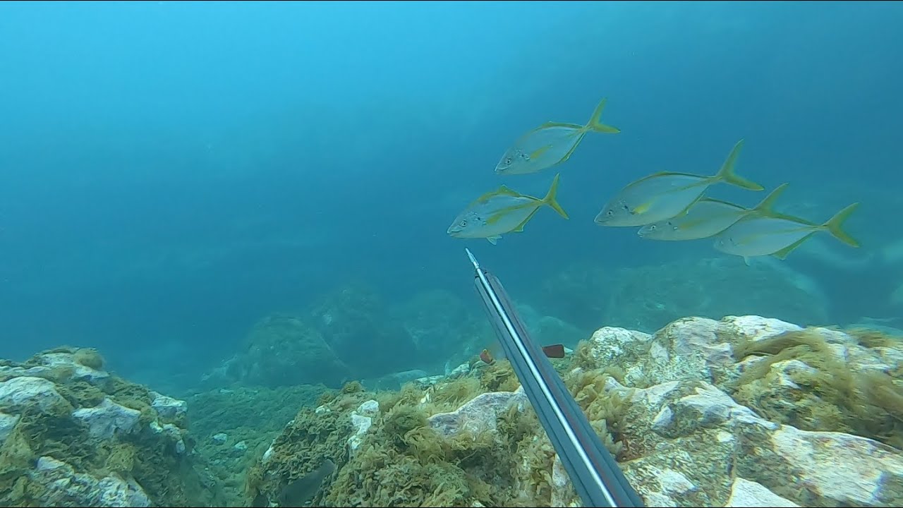 Pescasub (spearfishing) Lanzarote, Canarias. 2 Jureles (white