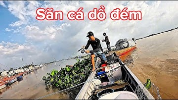 Câu cá dồ đém ( điểm câu An Hiệp, Đồng Tháp) -Tập 83