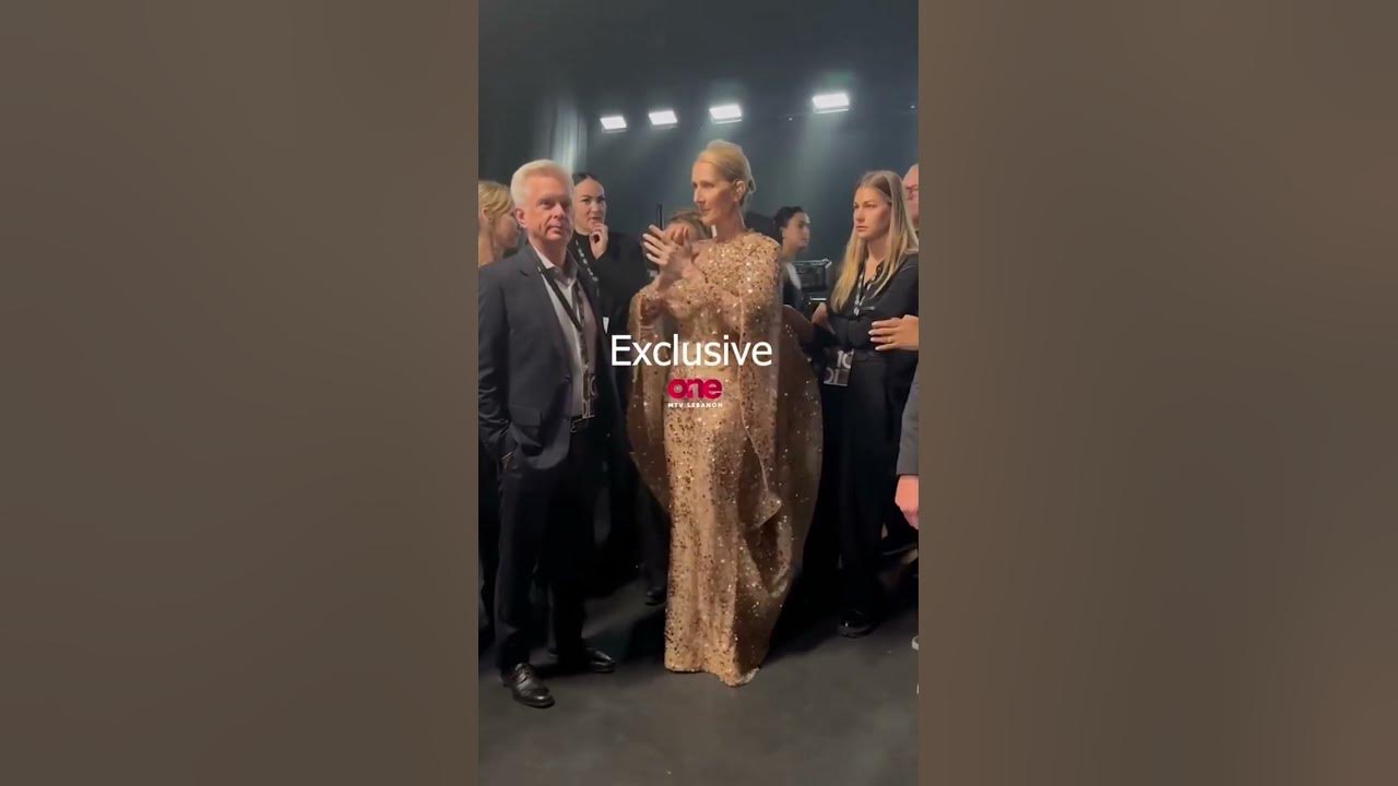 Celine Dion Dancing On Diab's Nour El Ain During Elie Saab Fashion Show #amrdiab #singer #hollywood