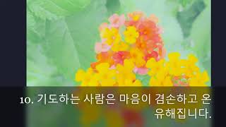 기도하는 사람은 .....