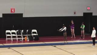Lauren Wright - 2019 PA Level 9 State Championships - Vault #2 (March 17, 2019)