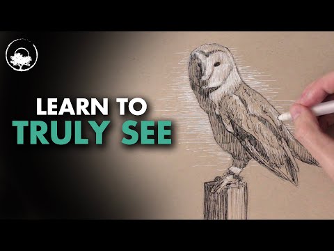 Importance of Observation for Drawing & Painting