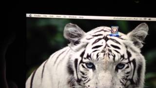 OS X Pad HD Retina iPad Theme [DreamBoard]