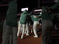 MASA MAGIC ❇️ #baseball #redsox #masatakayoshida #walkoff #mlb