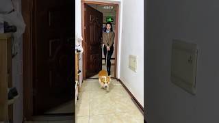 Naughty Dog Brought the Cutest Surprise 😂