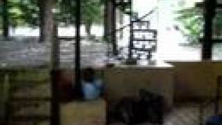 Great Mackerel Beach Flood 2008