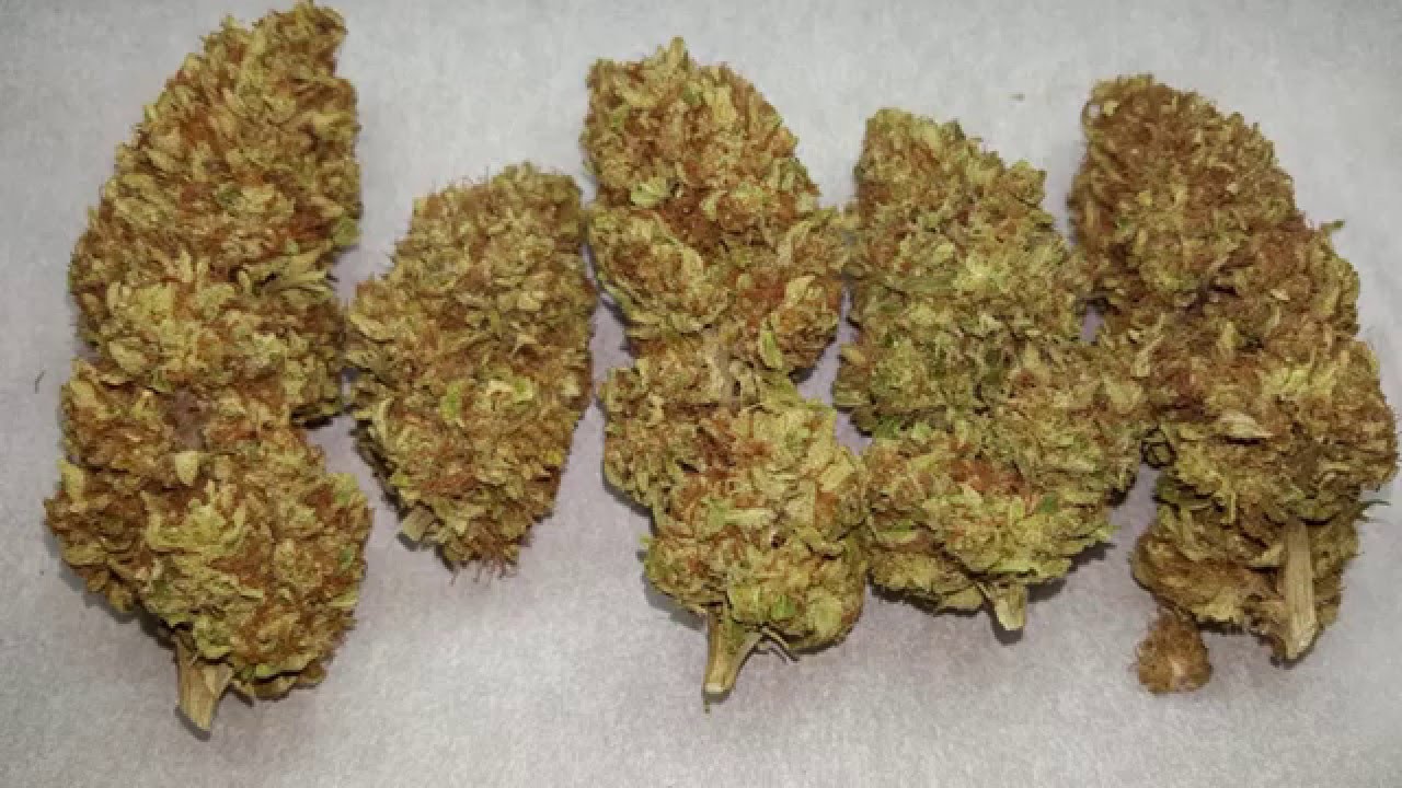 BRAND NEW STRAIN! Sweet Jane - Indica Dominant [TCA EXCLUSIVE!]