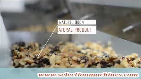 Cashew color sorter machine - www.selectionmachines.com
