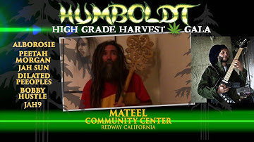 Rasta Stevie Drop