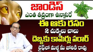 Reduce Jaundice with These Powerful Herbal Remedies | No Side Effects!