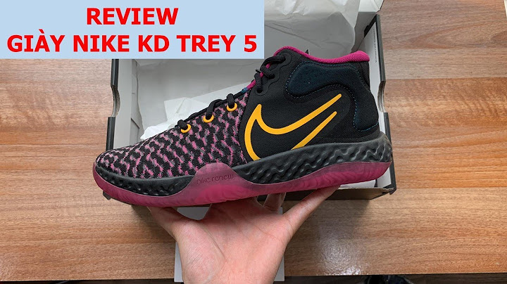 Kd trey 5 iv đánh giá năm 2024