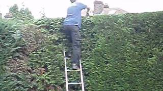 SILENCE IS GOLDEN! (OR "THE SOUND OF HEDGE CLIPPERS"). screenshot 1